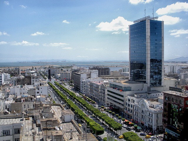 chirurgie esthétique pas cher Tunisie