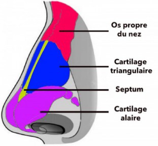 septorhinoplastie en Tunisie